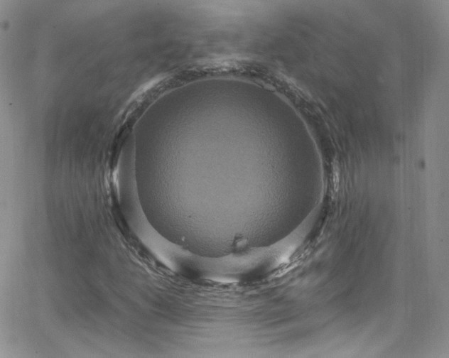 X0000066521206200603201315