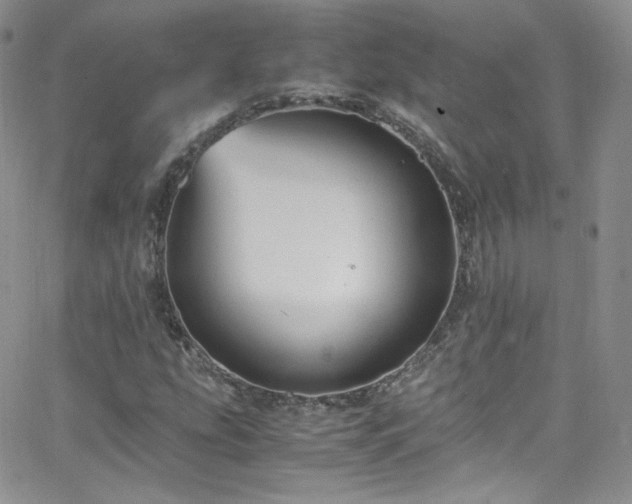 X0000066521207200603201315