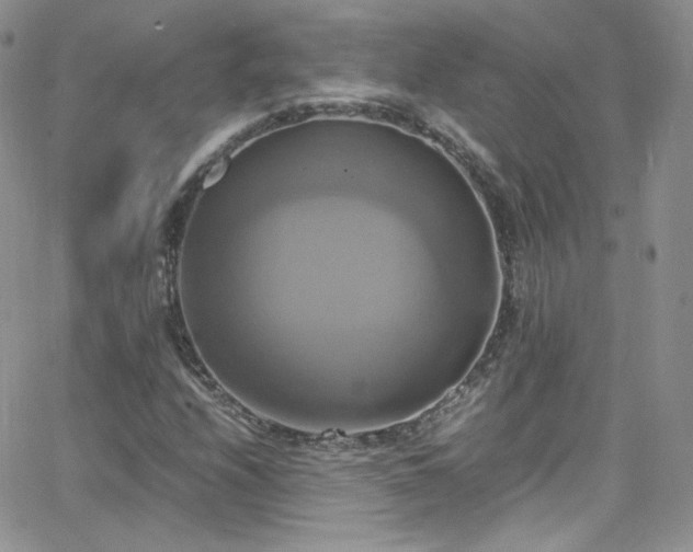 X0000066521208200603201315