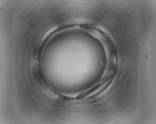 X0000066521210200603201315