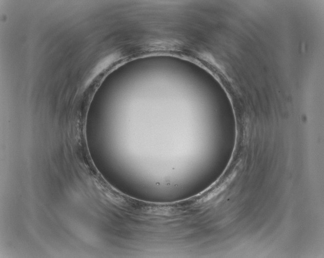 X0000066521211200603201315