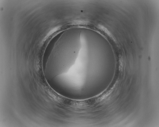 X0000066521213200603201315