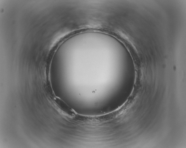 X0000066521214200603201315