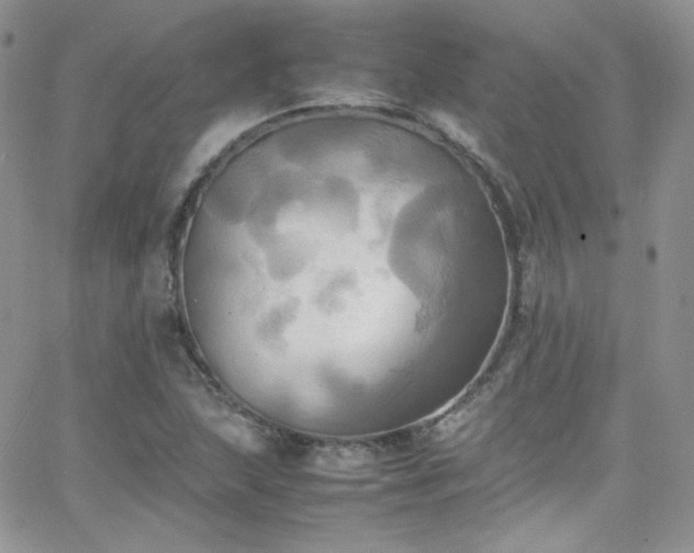 X0000066521215200603201315