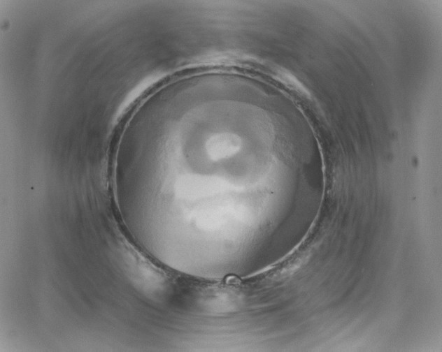 X0000066521216200603201315