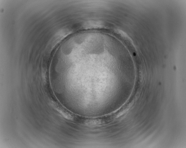 X0000066521217200603201315