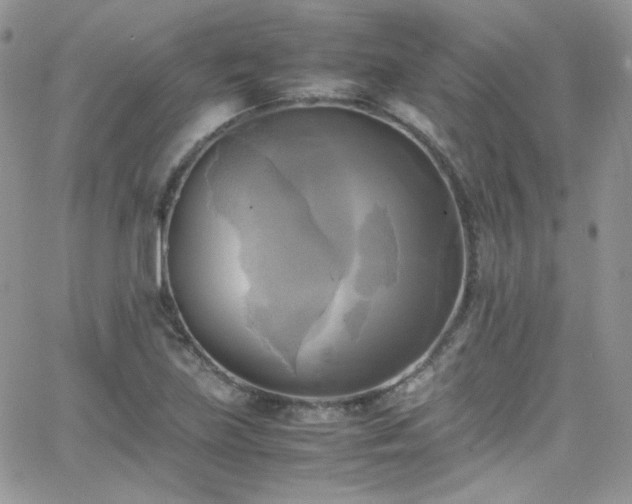 X0000066521219200603201315