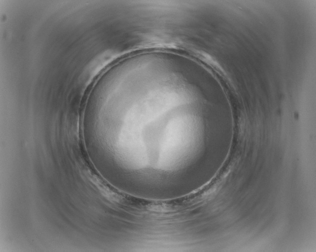 X0000066521220200603201315