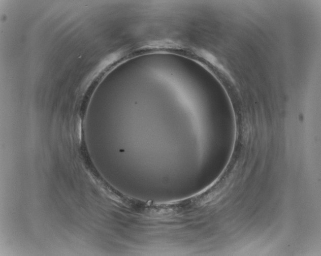 X0000066521221200603201315