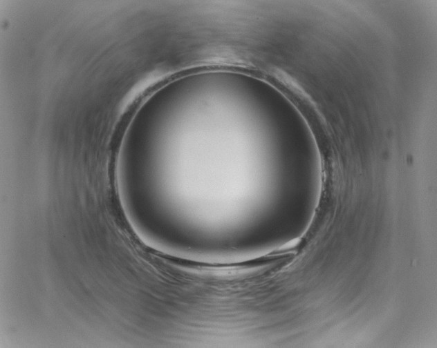 X0000066521222200603201315