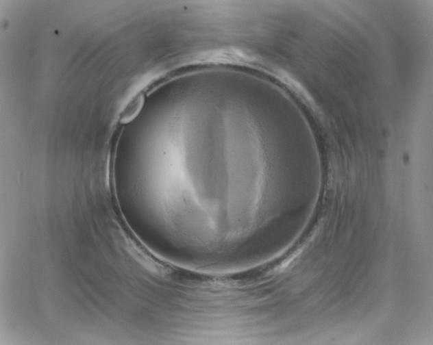 X0000066521224200603201315