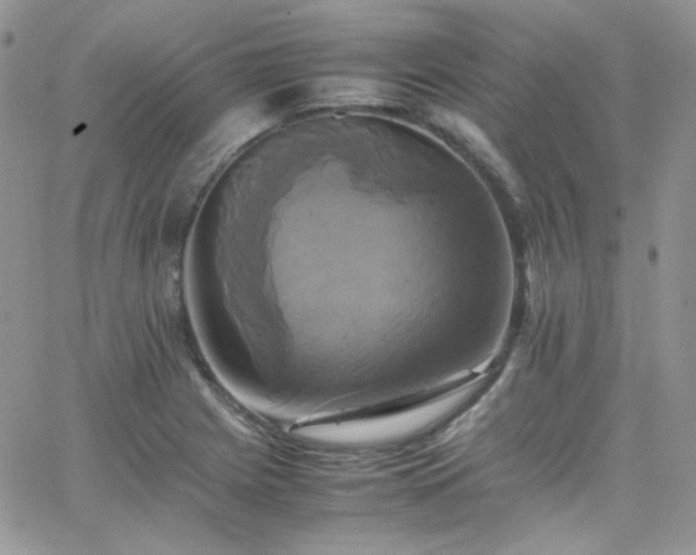 X0000066521225200603201315