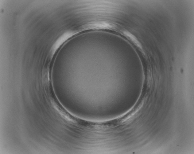 X0000066521226200603201315