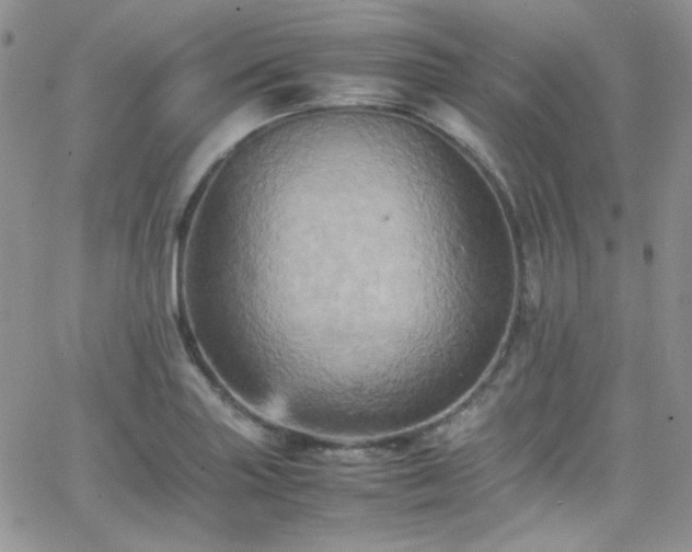 X0000066521227200603201315