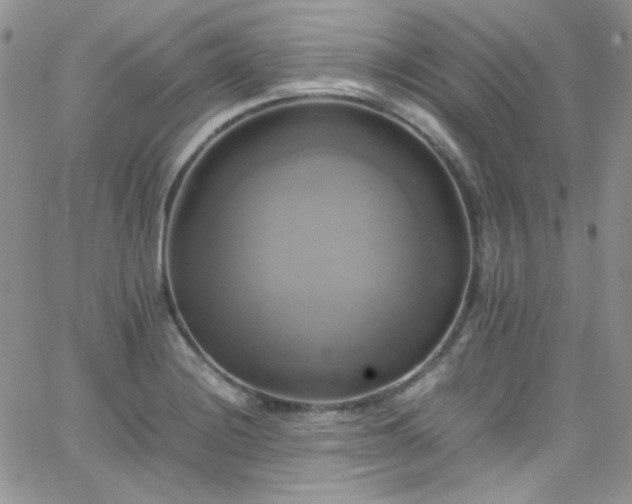 X0000066521228200603201315