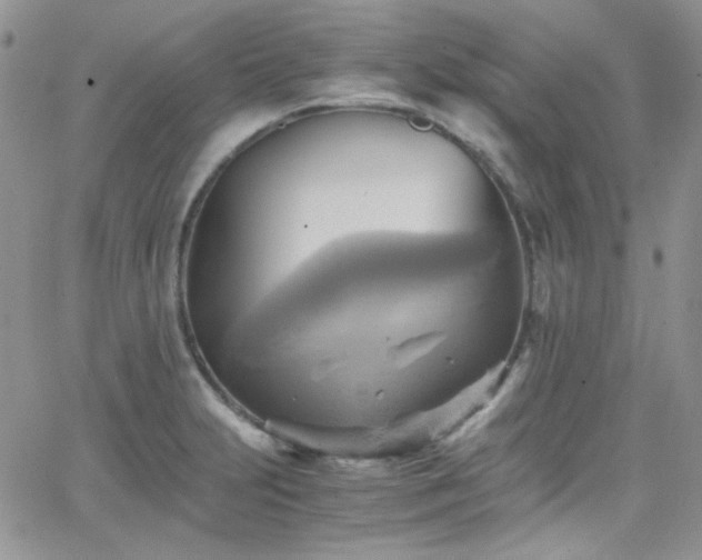 X0000066521231200603201315