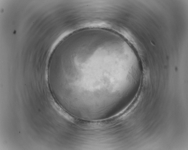 X0000066521232200603201315