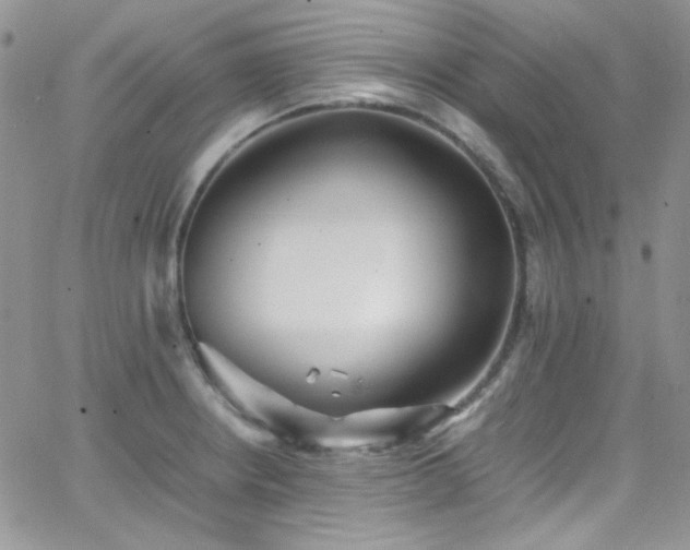 X0000066521234200603201315