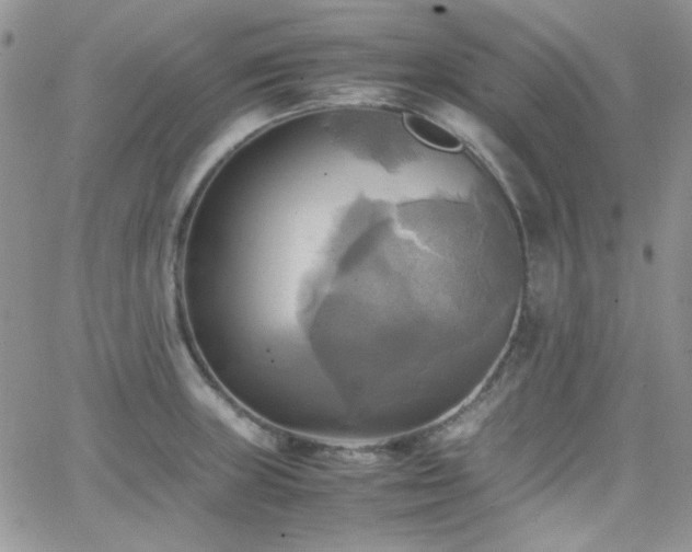 X0000066521235200603201315