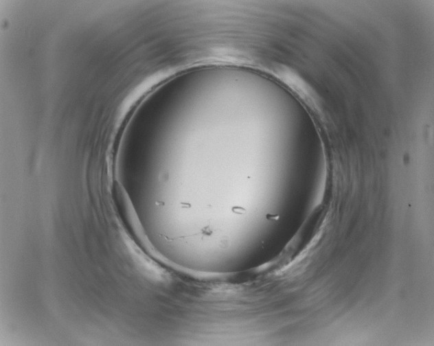 X0000066521238200603201315