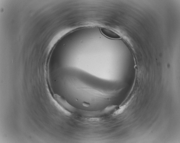 X0000066521239200603201315