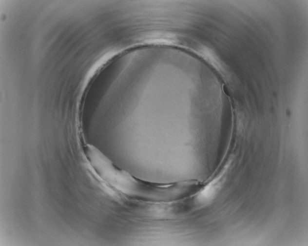 X0000066521240200603201315