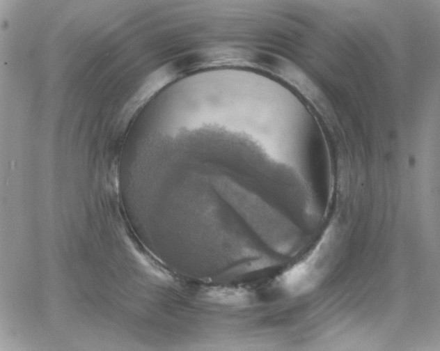 X0000066521241200603201315