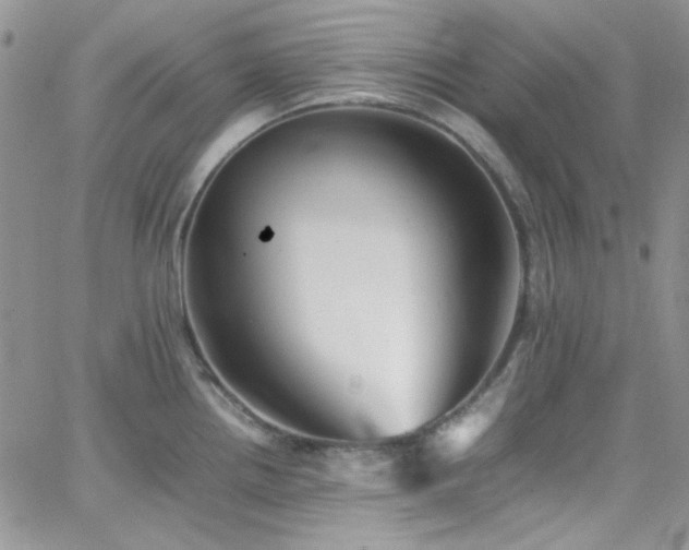 X0000066521242200603201315