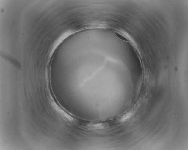 X0000066521243200603201315