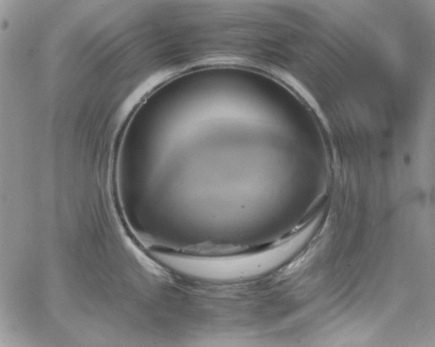 X0000066521245200603201315