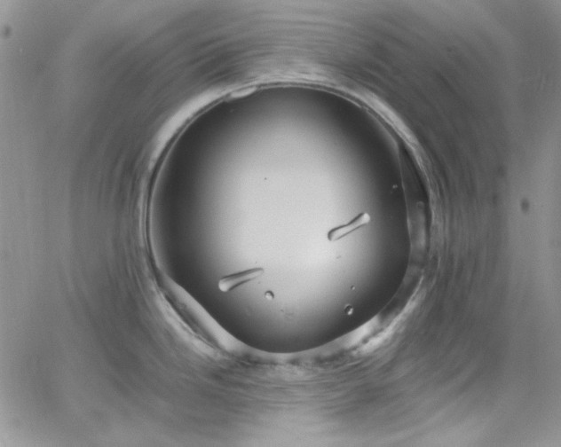 X0000066521246200603201315