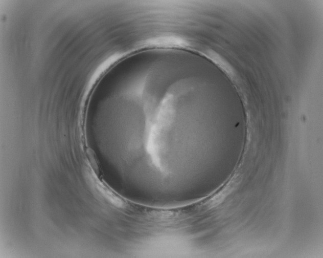 X0000066521248200603201315