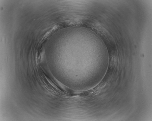 X0000066521250200603201315