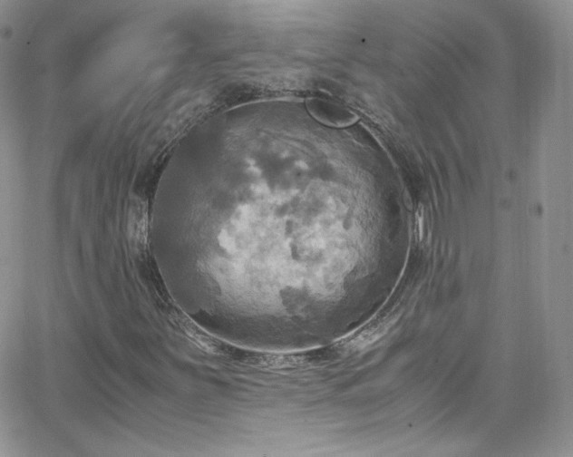 X0000066521251200603201315