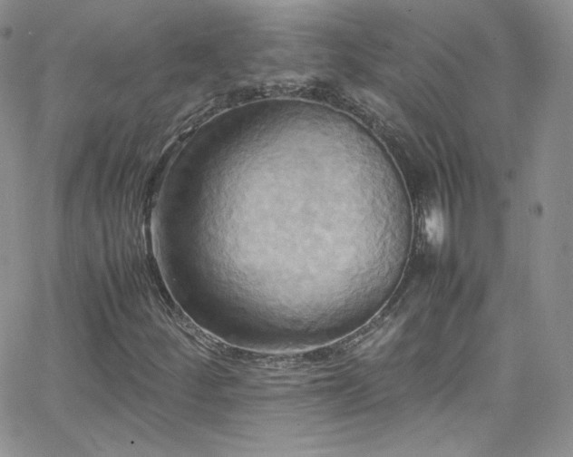 X0000066521252200603201315