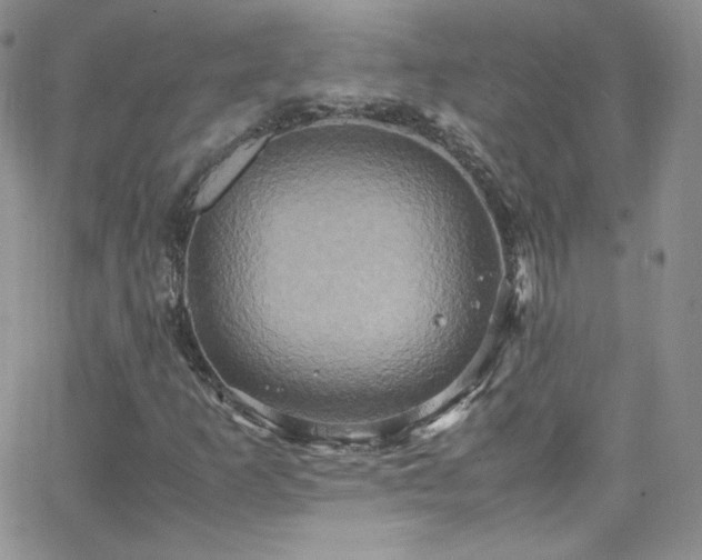 X0000066521253200603201315