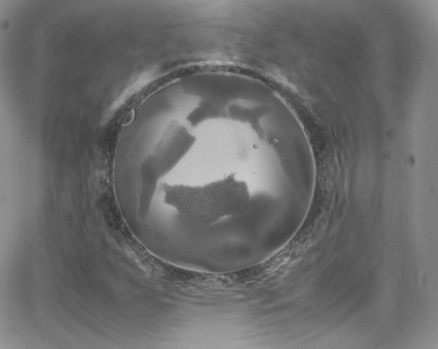 X0000066521255200603201314