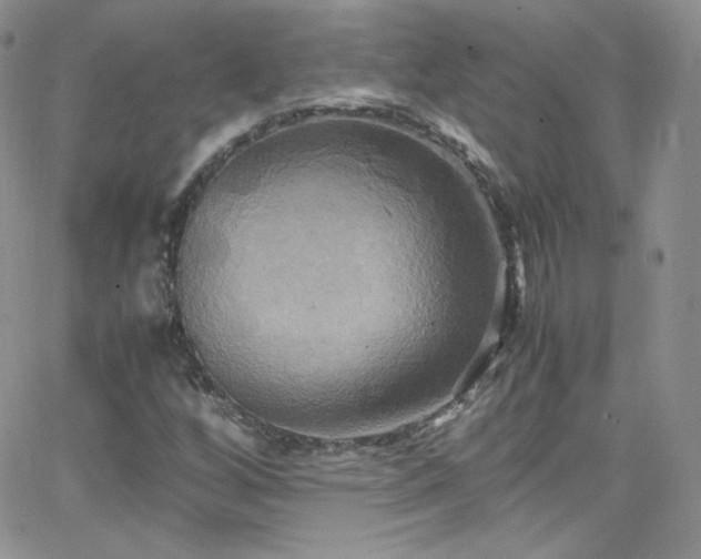 X0000066521256200603201314