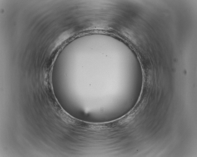 X0000066521258200603201314