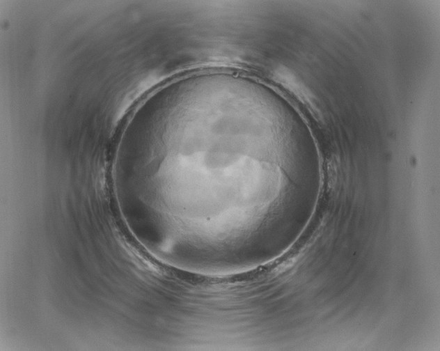 X0000066521260200603201314