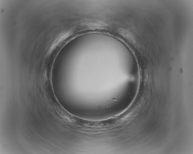 X0000066521261200603201314