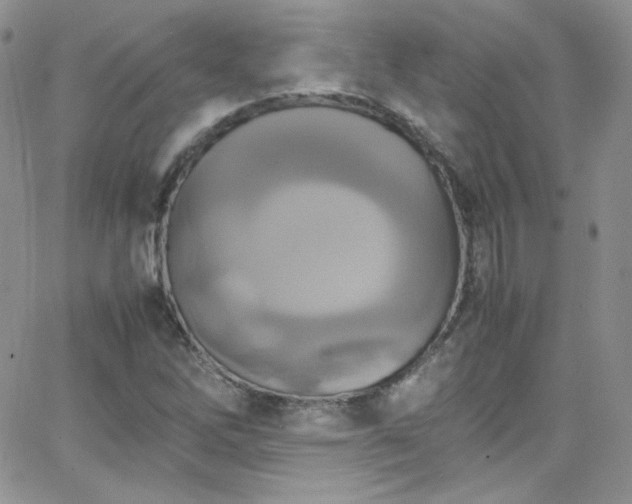 X0000066521262200603201314