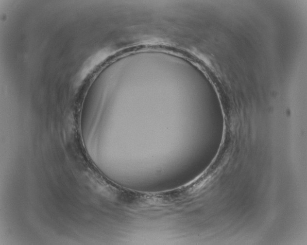 X0000066521263200603201314