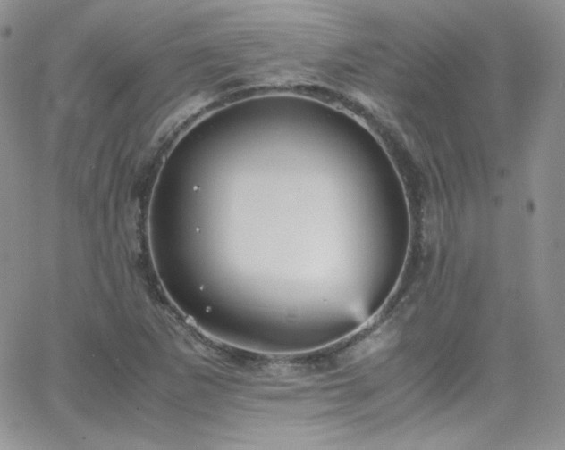 X0000066521265200603201314