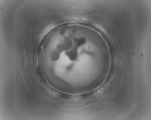 X0000066521267200603201314