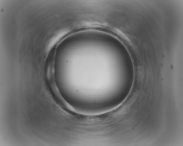 X0000066521269200603201314