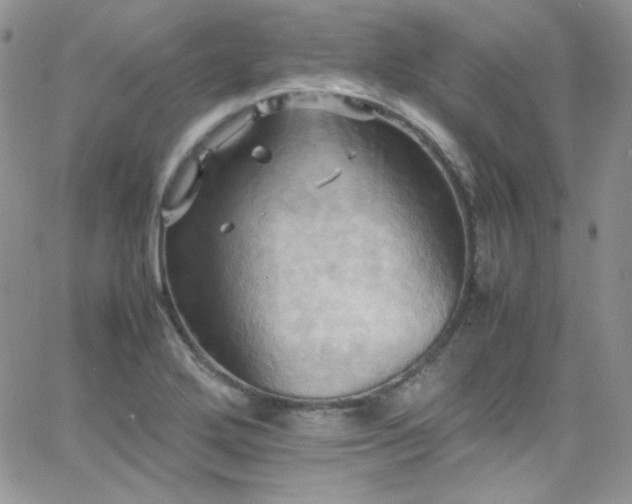 X0000066521272200603201314