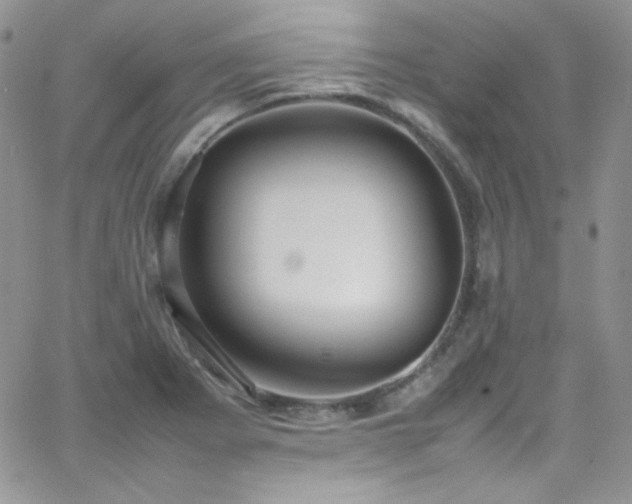 X0000066521273200603201314