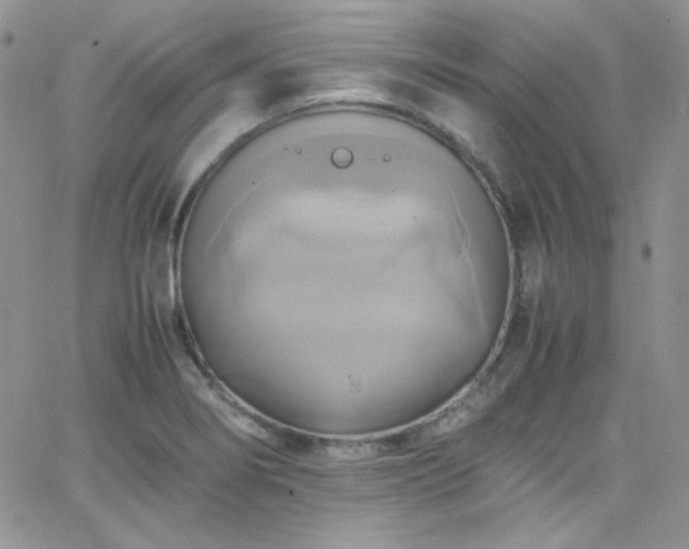 X0000066521274200603201314