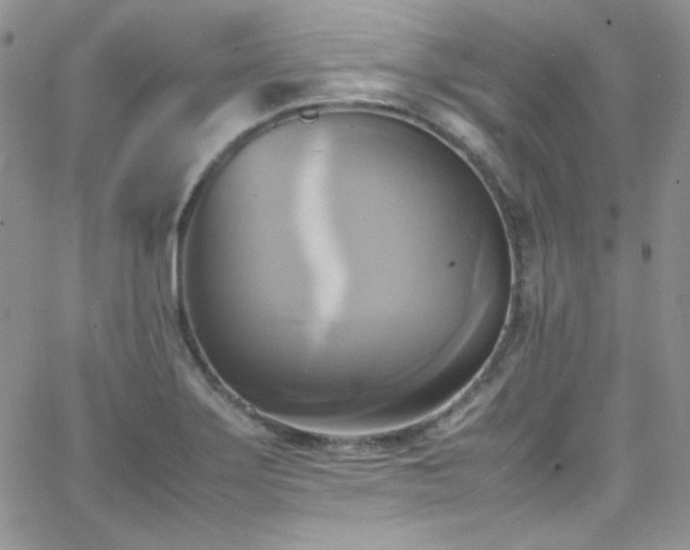 X0000066521275200603201314